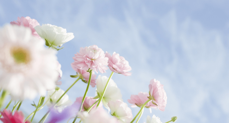 Screen Shot 2017-12-06 at 14.46.16.png